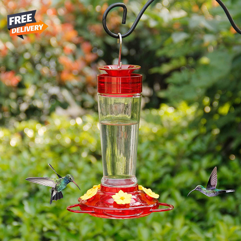 Glass Bottle Bird Feeders 5 Feeding Ports 10-ounc✅