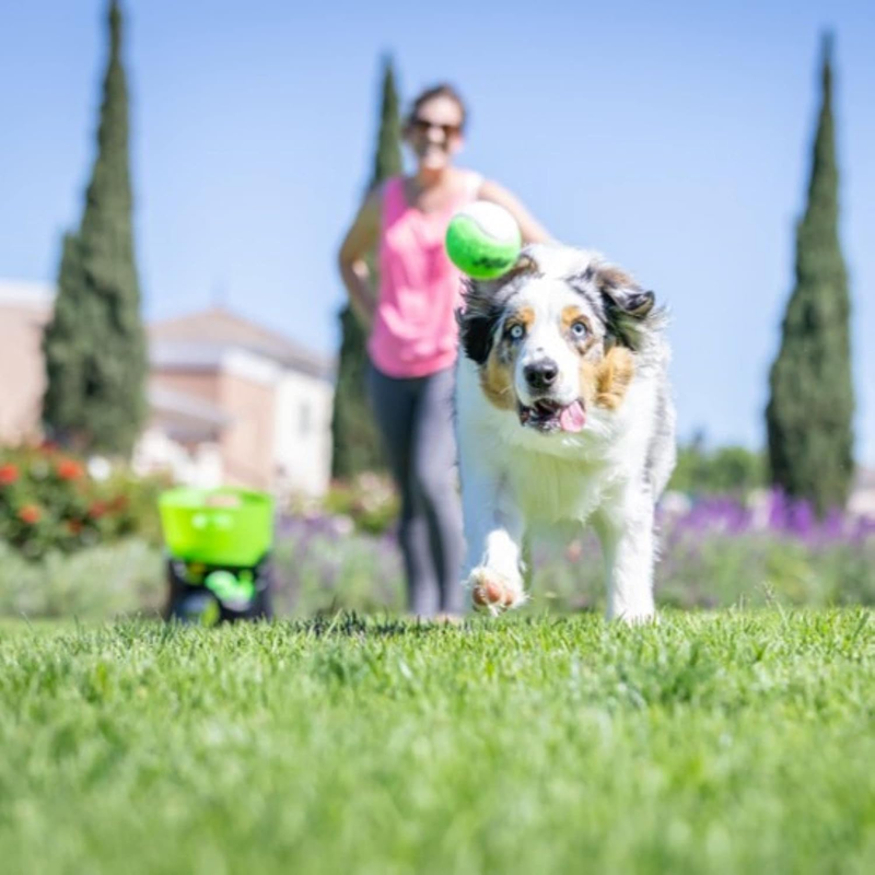 Godoggo Fetch Machine Dog Ball Launcher & Automatic Ball Launcher for Dogs with