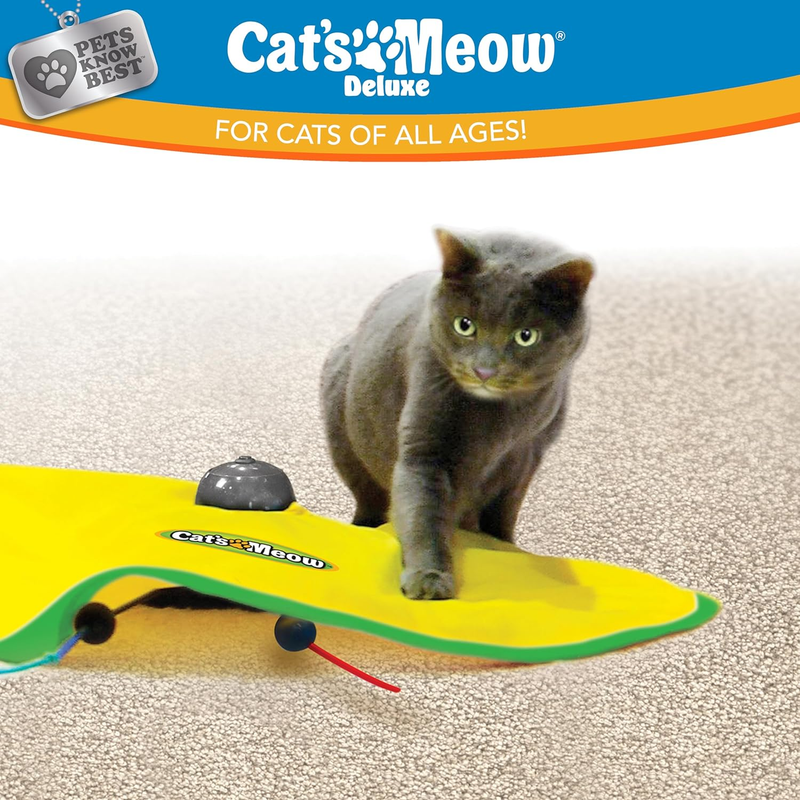 Motorized Wand Cat Toy, Automatic 30 Minute Shut Off, 3 Speed Settings, the Toy