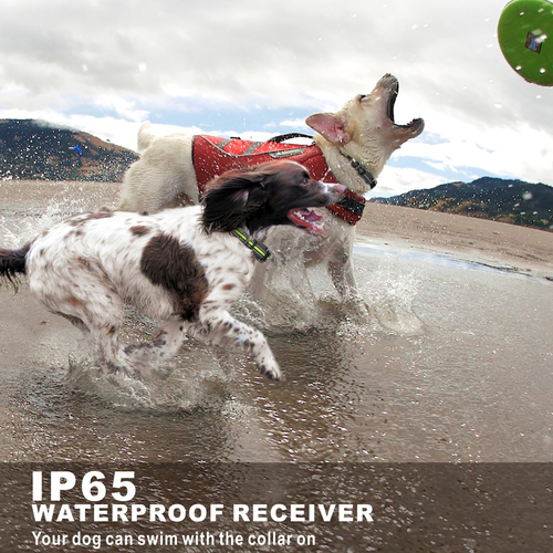 FunniPets Dog Training Collar, 2600ft Range Dog Shock Collar with Remote Dog for