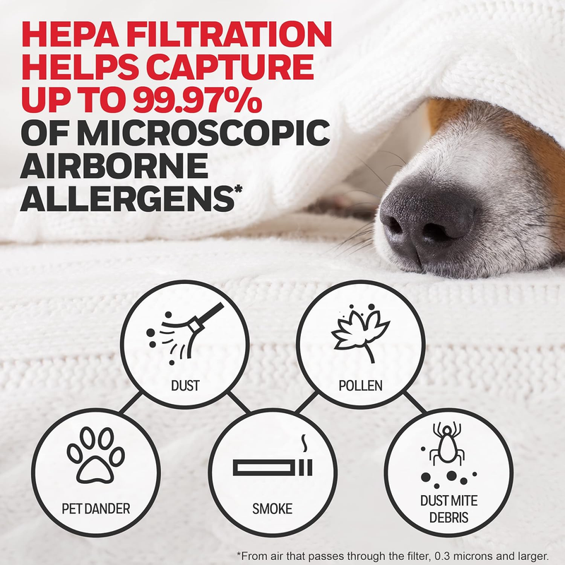 Genuine  HRF-ARVP100 1-Year Value Filter Kit for Medium Room HPA100 Series HEPA
