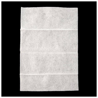 Repel Insect Repellent Mosquito Wipes 30% Contains DEET  15-Count