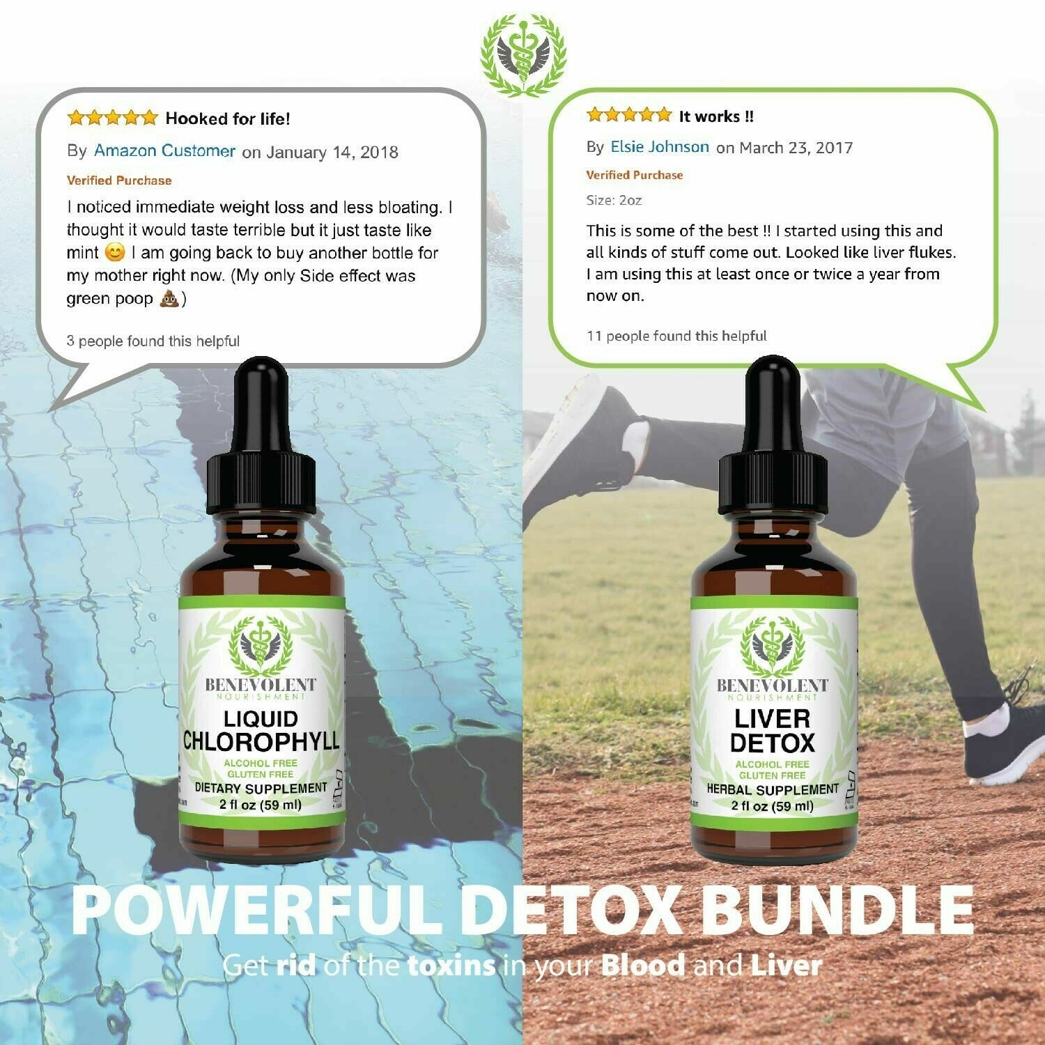 Benevolent Nourishment Chlorophyll Liquid Drops Energy Boost Immune Support 2oz