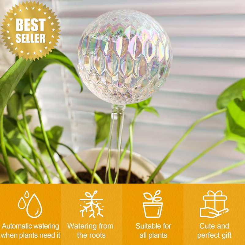 Picture 2