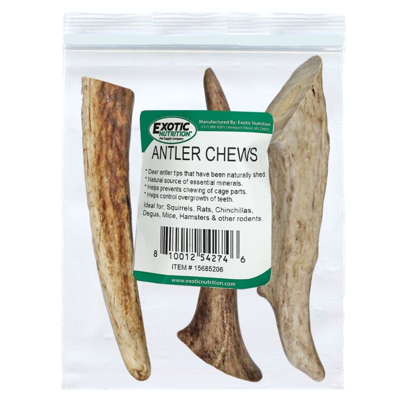 Antler Chews - Natural Source - Food for Chinchillas, squirrels and more