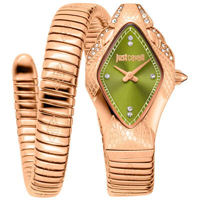 Pre-owned Just Cavalli Women's Ferocious Green Dial Watch - Jc1l306m0055