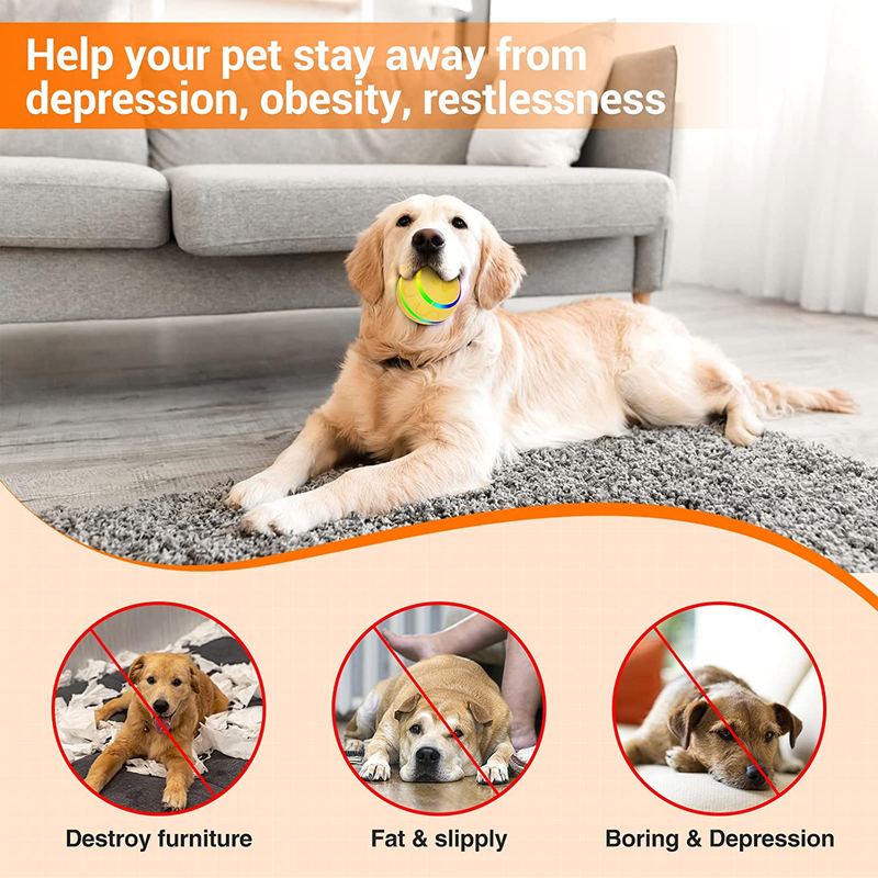 Smart Interactive Dog Balls, Remote Control Dog Toy Ball for Medium Dogs, 4 Hour