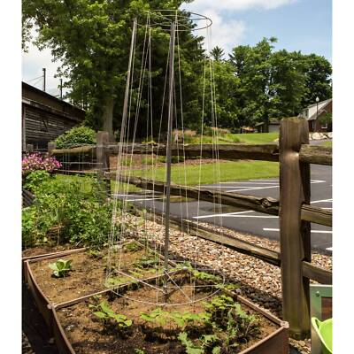 Bean Cucumber Melon Squash Vine Tower Sturdy Galvanized Steel USA Made 6' 3'' H