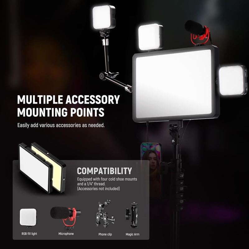 BASICS 2 Pack LED Video Light Panel Lighting Kit with 2 59'' Stands & 2 Phone Ho
