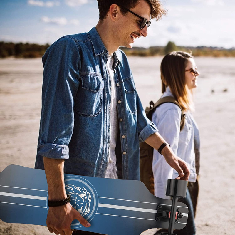 Longboard Skateboard for Beginners, 31 Inch Pro Complete Concave 01 - Lion