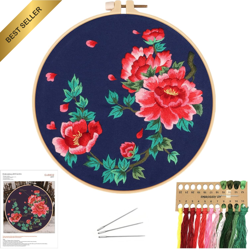 Embroidery Kit for Beginners with Pattern Instructions, Cross Stitch Kits with P