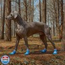 SGSPET Dog Shoes, Waterproof Dog Boots and Paw Protectors with Anti-Slip Sole, 4pcs/Set Pet Dog Booties, Reflective Dog Shoes for Small Medium Large, Winter Snowy Summer Hot Pavement (Blue, 4# (S))