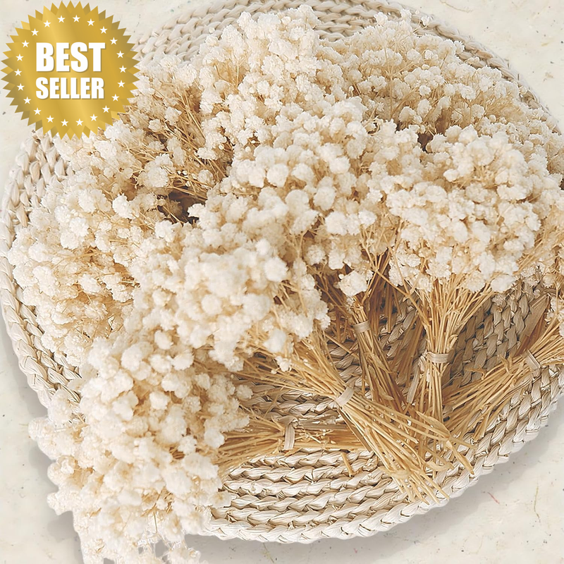100 Pcs Mini Dried Baby'S Breath Flowers, 6'' Natural Ivory White Flowers for Re