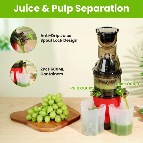 300W Cold Press Juicer Machine Slow Masticating Juicer Fruit Vegetable Juicer