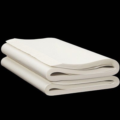 Calligraphy Rice Paper 100PCS Chinese Japanese Sumi Writing Paper 13x54 Inch