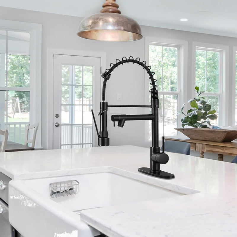 Kitchen Faucet with Pull down Sprayer,Single Handle Two Outlet Commercial Kitche