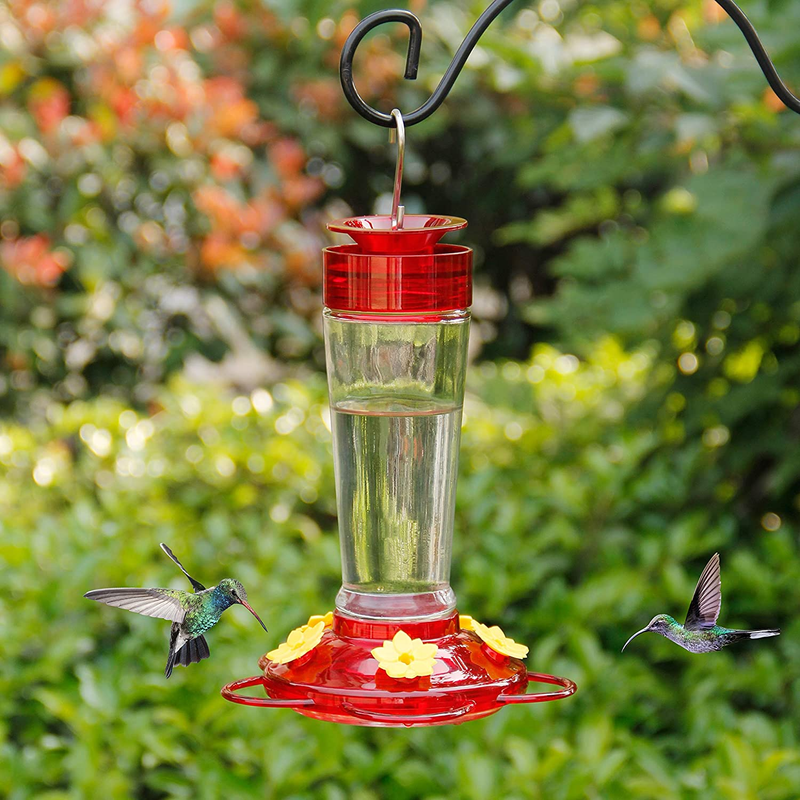 Hummingbird Feeder, Glass Bottle Bird Feeders, 5 Feeding Ports, 10-Ounce Nectar