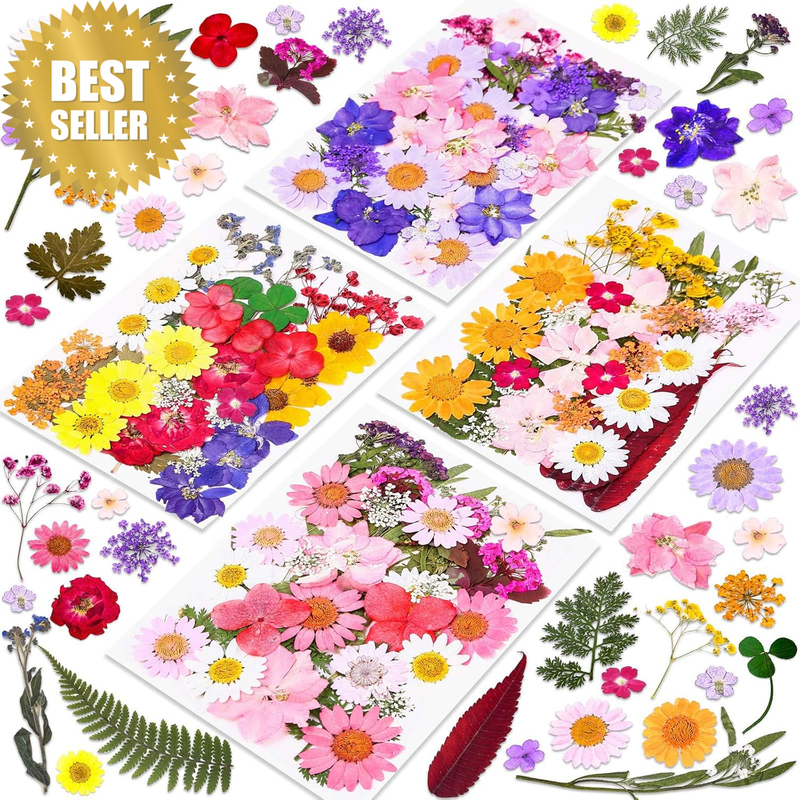 140 Pcs Dried Pressed Flowers for Resin, Real Pressed Flowers Dry Leaves Bulk Na