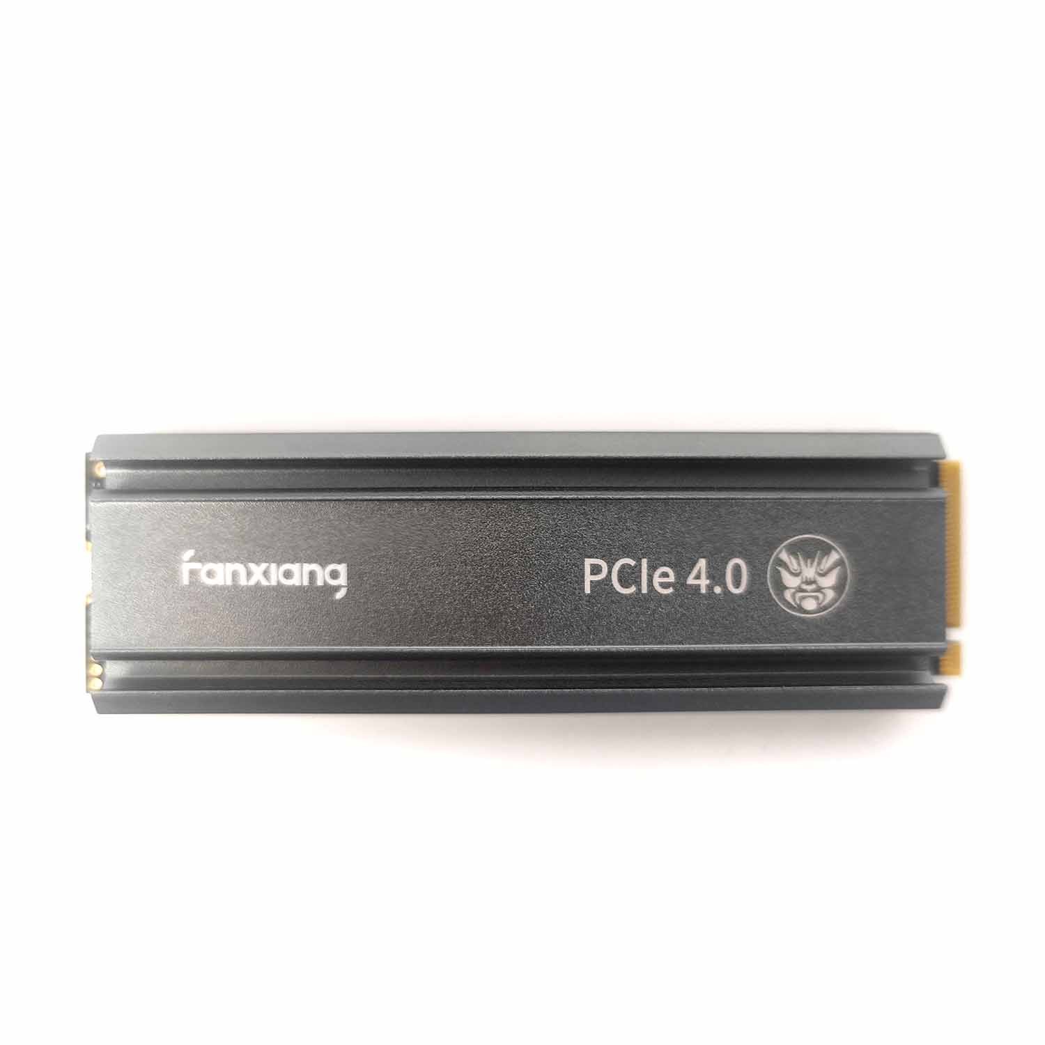 Fanxiang S660 500GB SSD + Heatsink - Interne PS5 Festplatte - NVMe M.2