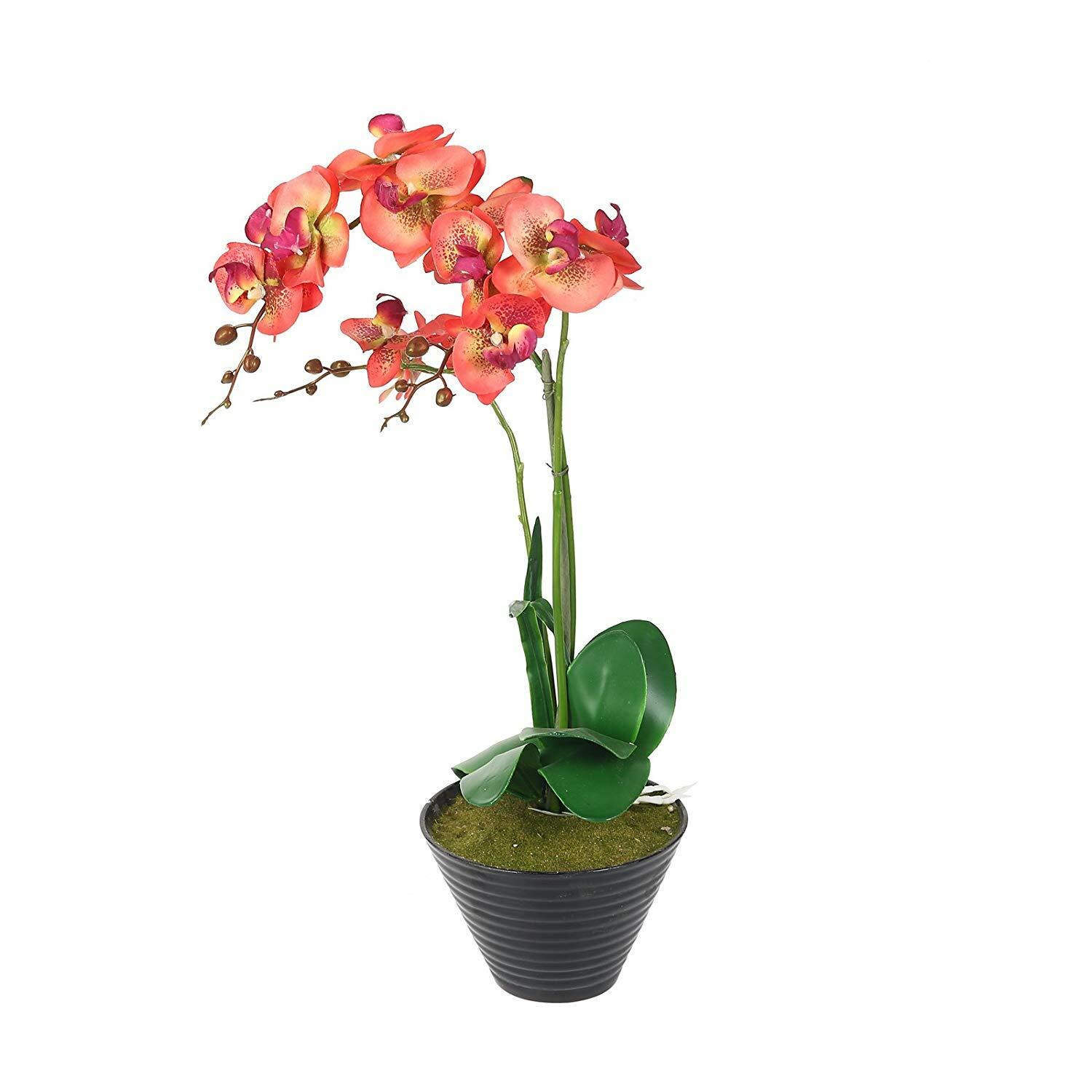 Künstliche Orchidee im Topf 55cm Kunst Blumen