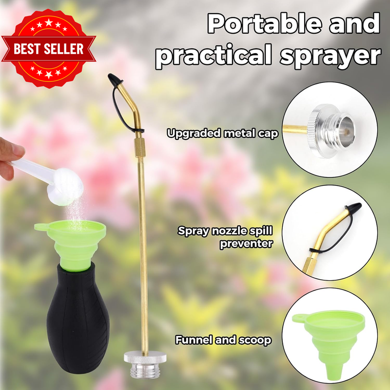 Picture 3