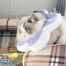 KUDES Cat Cone Collar,Cute Flower Waterproof Elizabethan e Collar for Cat and Small Dog Anti-Bite Lick Wound Healing Protective Neck Cone After Surgery Recovery Collar for Small Pet,All-Season Style