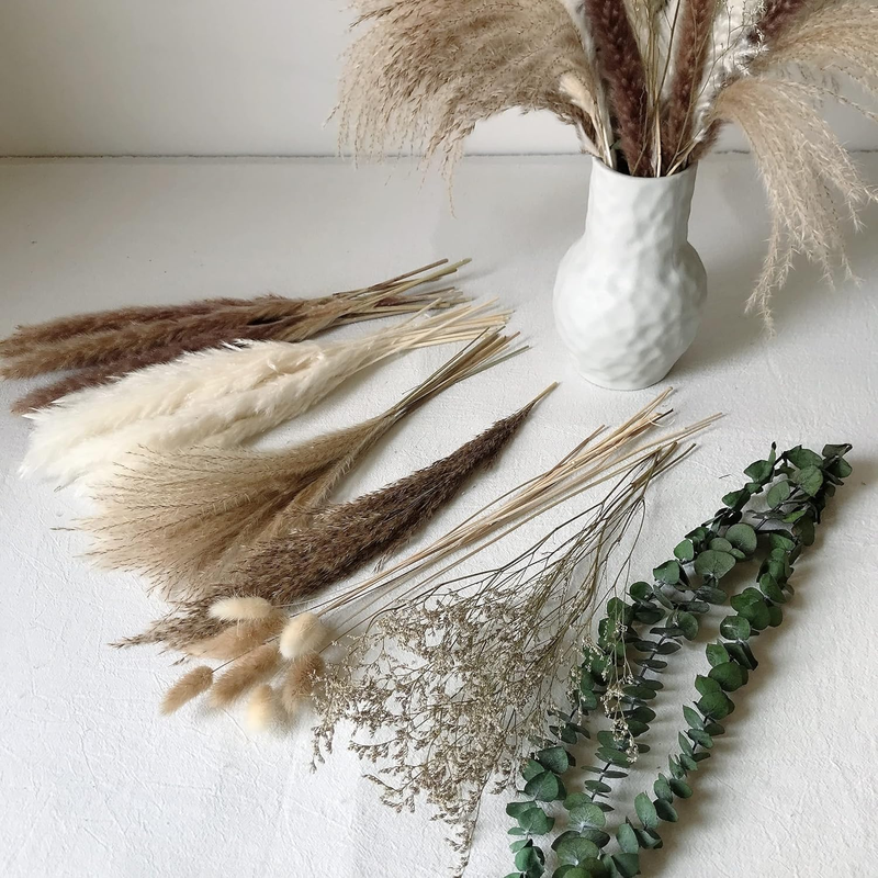 Natural Pampas Grass, Eucalyptus Reed, Bunny Tails Boho Home Decor Dried Flowers