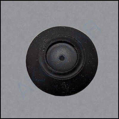 Black Pushbutton for Magnetek SBP2 Pendants - WC2-BS