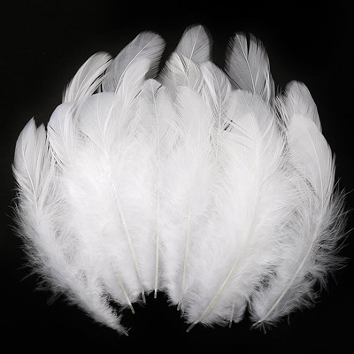 600Pcs White Feathers for Crafts 3-5Inch Craft Feathers Bulk for Wedding Home Pa
