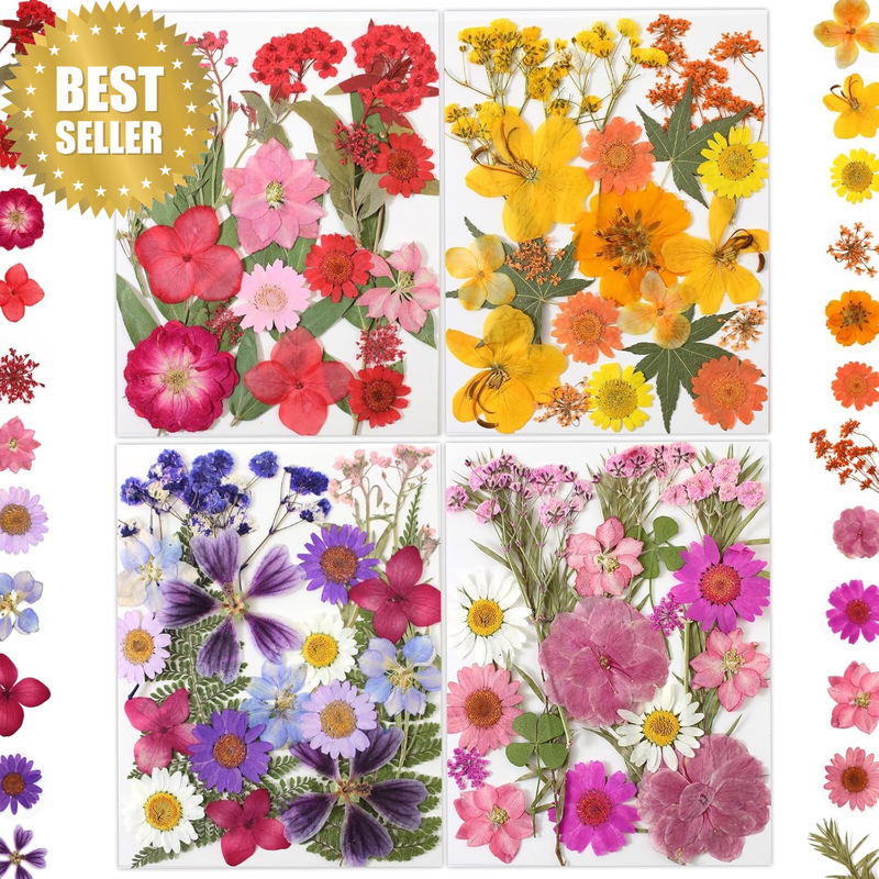 80 Pcs Dried Flowers for Crafts, Real Natural Dried Pressed Flowers in Vibrant C