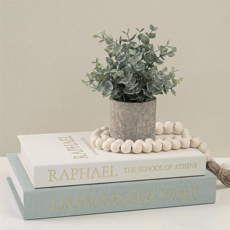 Decorative Faux Books with Hidden Storage - Set of 2 Large & Small Hollow Book B