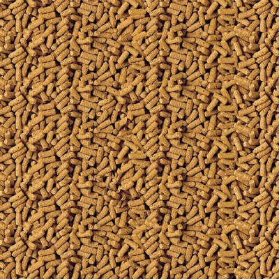 TetraPond Spring & Fall Diet Floating Pond Sticks, 1.72-Pound