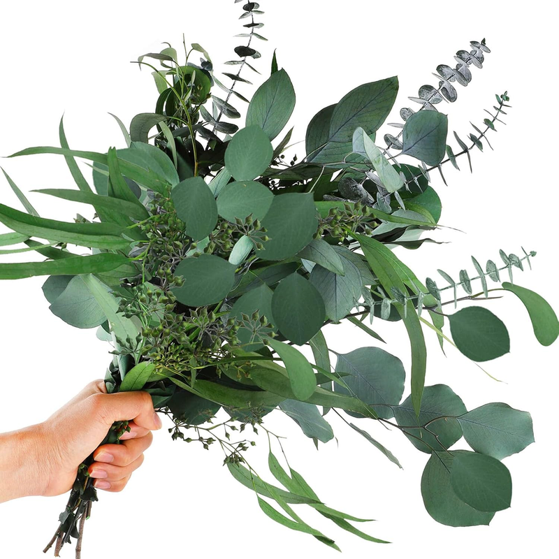 12Pcs Mixed Real Dried Eucalyptus Leaves Stems - Preserved Plant Branches, Silve