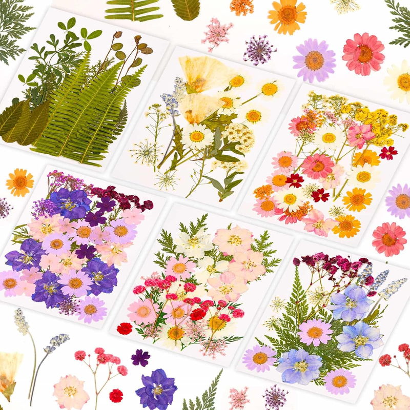 124 Pcs Dried Pressed Flowers for Resin Crafts, Real Pressed Wildflowers Natural