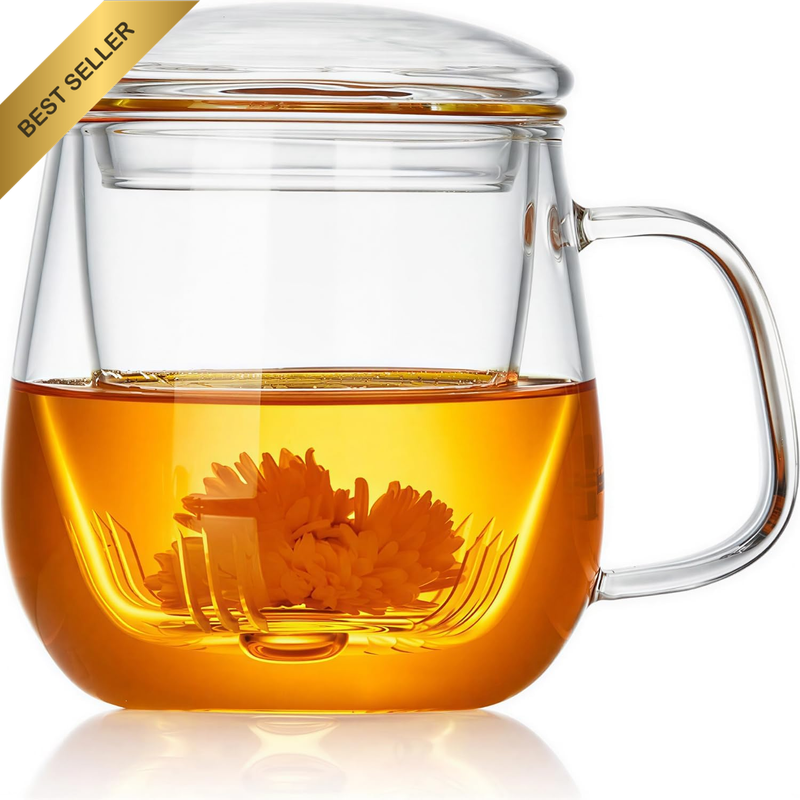 Glass Tea Cup with Infuser and Lid, 520Ml Large Borosilicate Clear Mug for Loose