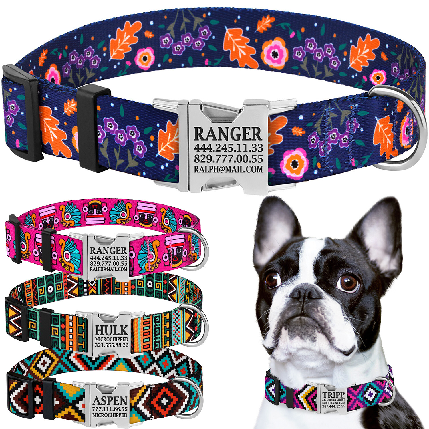 zoofari dog collar and lead