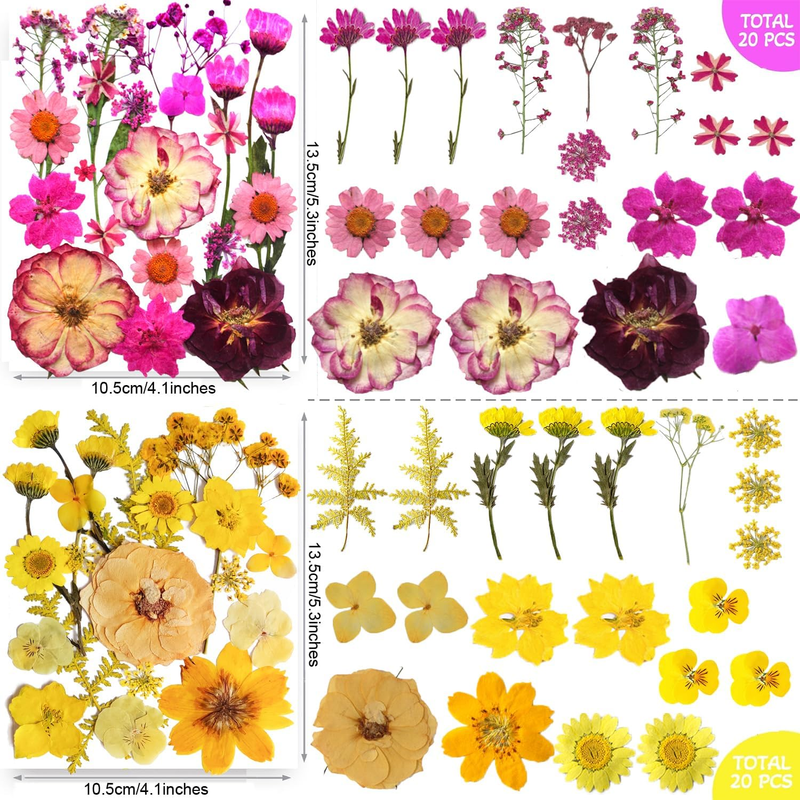 301Pcs Dried Pressed Flowers Leaves & Butterfly Stickers for Crafts, Real Natura