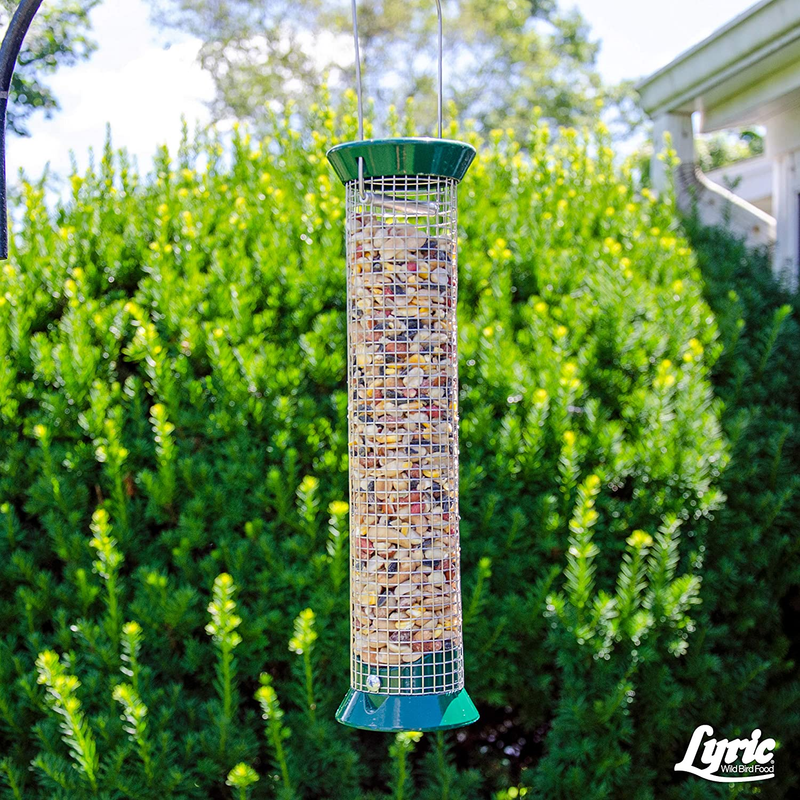Lyric Fruit and Nut Wild Bird Seed - High Energy Wild Bird Food Mix - Attracts W