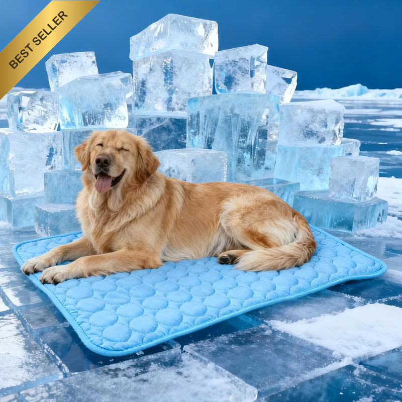 Dog Cooling Mat for Large Medium Small Pets - Self Cooling Gel Pad for Dogs and