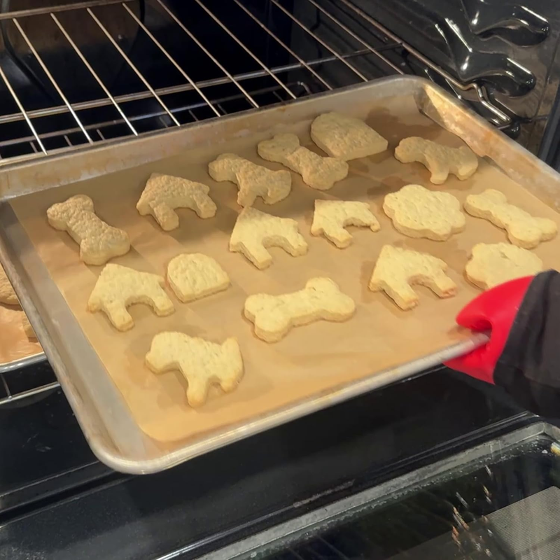 Dog Bone Cookie Cutter ANCKNE Bone Shape Cookie Cutter Set Stainless Steel Homem