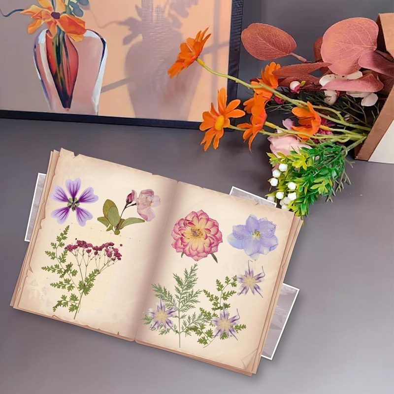 Dried Pressed Flowers Real Pressed Flowers Natural Dry Leaves Bulk Mixed Colorfu