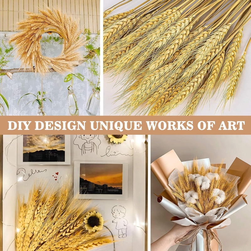 100 Stems Dried Wheat Stalks for Decor Sheaves Grass Natural Bunch Flowers Home