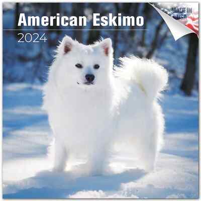 American Eskimo Dog Breed Calendar 2024 FULL SIZE 12x24 Made in USA