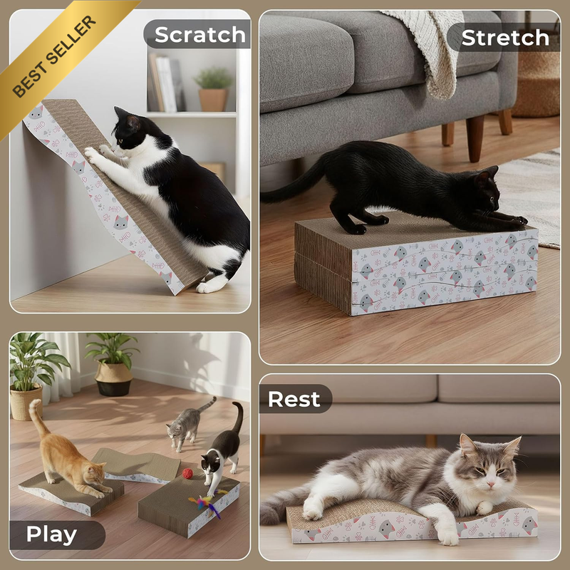 Picture 4