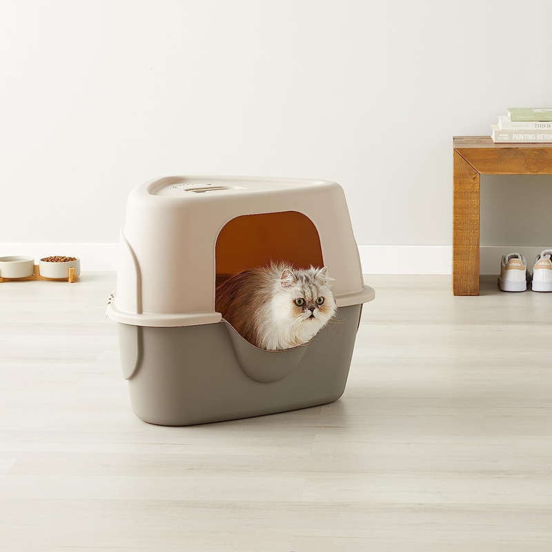 Basics No-Mess Hooded Corner Cat Litter Box, Triangle, Charcoal, 26 in X 20 in X