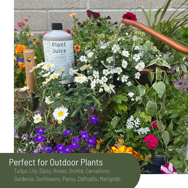 Elm Dirt Plant Juice Organic Fertilizer for All Plants - Indoor or Outdoor (1 Bo