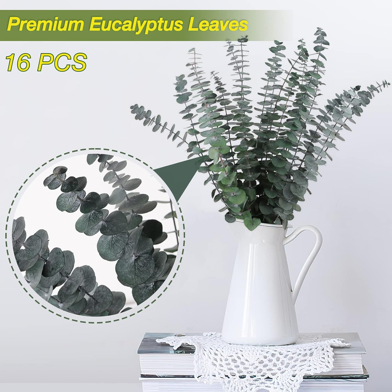 16Pcs-Preserved-Dried-Eucalyptus-Branches,17" Pure Natural Fresh Eucalyptus Plan