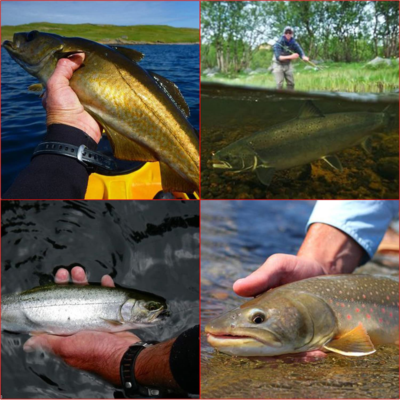 Netangler Fly Fishing Rod and Reel Combo 4-Piece Fly Fishing Rod 5Wt Aluminum Fl