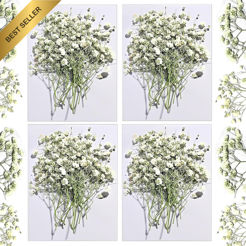 120Pcs Mini Dried Baby'S Breath Flowers 4000+Natural Bulk Flowers Real Flowers P