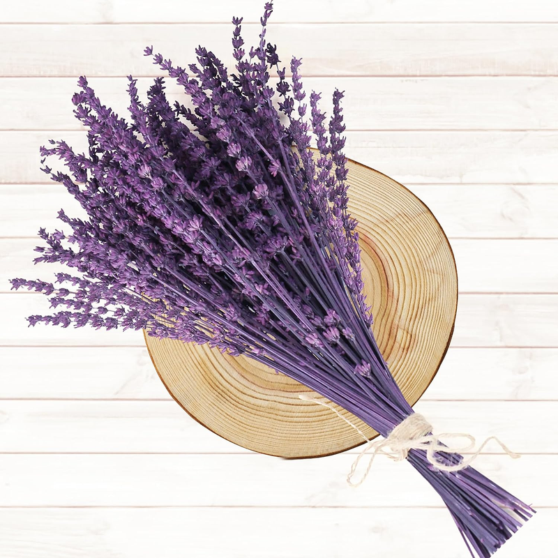 120+Stems Dried Lavender Flowers Bundle-Dried Preserved Lavender Bouquet 15-17"
